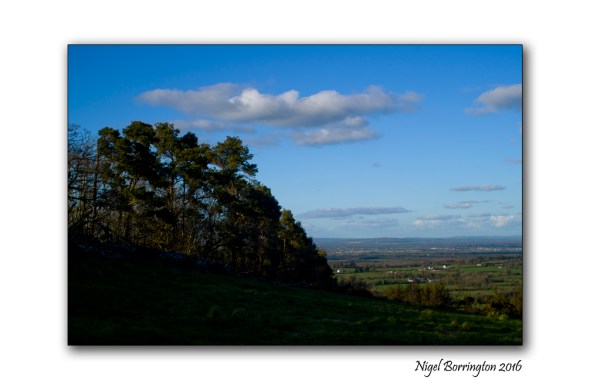 Kilkenny Landscapes March 2016 Nigel Borrington 02