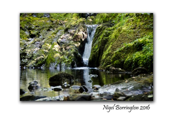 Springtime at the River Irish landscapes Nigel Borrington