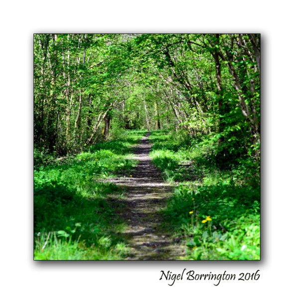 The Nightingales Nest Irish Landscape photography Nigel Borrington 01