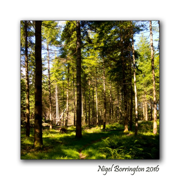 The Nightingales Nest Irish Landscape photography Nigel Borrington 04