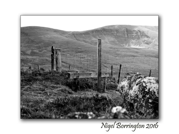 Borders and Fences Nigel Borrington