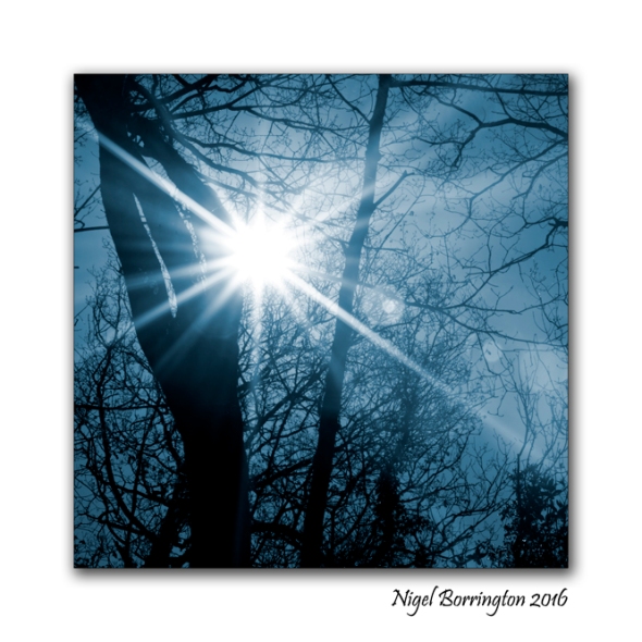 midnight-star-dreams-nigel-borrington