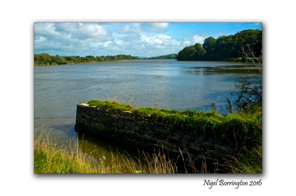 River Dawn Joins the river Suir County Waterford Nigel Borrington