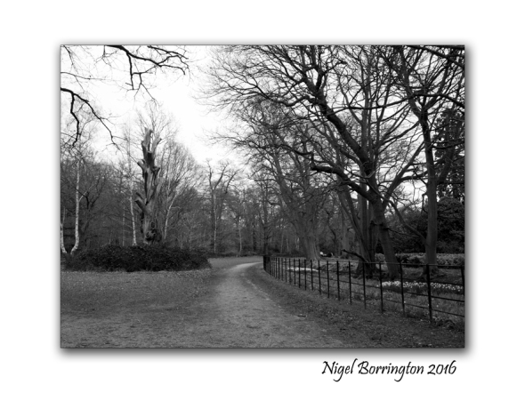 walkiing-at-langley-park-nigel-borrington-03
