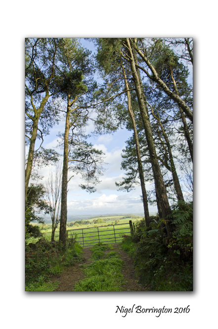 county-kilkenny-in-wide-angle-nigel-borrington-_-panorama-6