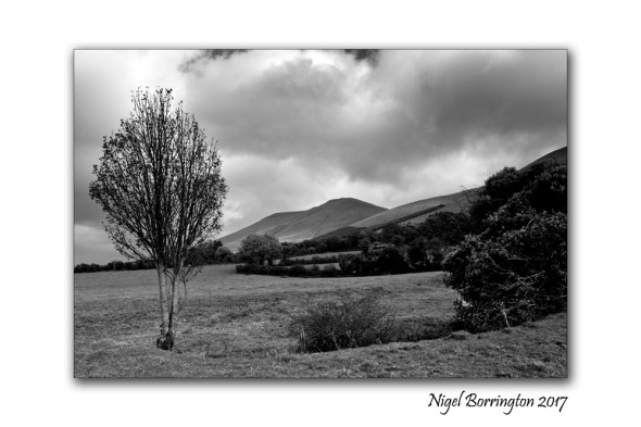 irish-landscape-images-nigel-borrington-march-2017-3